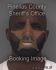 ANTONE DUNBAR Arrest Mugshot Pinellas 12/28/2013