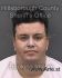 ARNALDO CINTRON Arrest Mugshot Hillsborough 02/03/2017