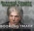 Alan Sewell Arrest Mugshot Brevard 05/26/2019