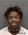 BOBBIE ADAMS Arrest Mugshot Hillsborough 01/31/2014