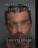 BRIAN ALVAREZ Arrest Mugshot Pinellas 09/17/2013