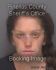 BRIANNA DOBBS Arrest Mugshot Pinellas 06/20/2013