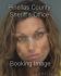 BRITNEY LIGHTFOOT Arrest Mugshot Pinellas 07/26/2013