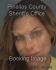 BRITNEY LIGHTFOOT Arrest Mugshot Pinellas 08/30/2013