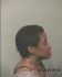 Barbara Ashley Arrest Mugshot Brevard 02/20/2017
