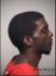 Brandon Ibeawuchi Arrest Mugshot Lake 04/26/2016