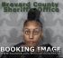 Brittany Bell Arrest Mugshot Brevard 11/29/2019