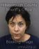 CARMEN YASLOW Arrest Mugshot Hillsborough 04/03/2014