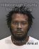 CHRISTOPHER JACKSON Arrest Mugshot Hillsborough 06/30/2019