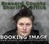 Cayla Flannery Arrest Mugshot Brevard 12/03/2020