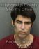 DAMON ANTONELLI Arrest Mugshot Hillsborough 02/27/2014