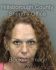 DANA GITZINGER Arrest Mugshot Hillsborough 06/27/2013