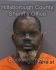 DARRYLL BROWN Arrest Mugshot Hillsborough 11/25/2023