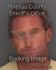 DAVID FLORIAN Arrest Mugshot Pinellas 09/06/2013