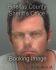 DAVID JENSEN Arrest Mugshot Pinellas 05/29/2013