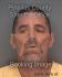 DAVID PALMER Arrest Mugshot Pinellas 07/02/2013