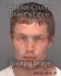 DEVIN LYONS Arrest Mugshot Pinellas 05/26/2013