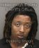 DONTAVIOUS WILLIAMS Arrest Mugshot Hillsborough 07/22/2013