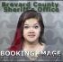 Daisy King Arrest Mugshot Brevard 04/09/2017