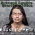 Dana Ward Arrest Mugshot Brevard 01/13/2017