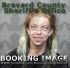 Danielle Weber Arrest Mugshot Brevard 01/01/2018