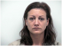 Debra Fiscina Arrest Mugshot Charlotte 06/29/2007