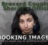 Demetria Kyro Arrest Mugshot Brevard 03/07/2022