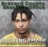 Devin Lee Arrest Mugshot Brevard 03/01/2018