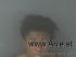 Dewanda Gilyard Arrest Mugshot Gadsden 12/19/2024