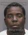 ERIC CHATMAN JR Arrest Mugshot Hillsborough 05/20/2013