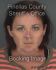 ERICA PETERSON Arrest Mugshot Pinellas 09/11/2013