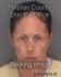 ERICA WILSON Arrest Mugshot Pinellas 06/17/2013