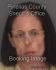 ERICA WILSON Arrest Mugshot Pinellas 01/07/2014