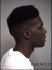 Emmanuel Young Arrest Mugshot Lake 04/20/2013