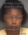 FRANCHESKA COMBS Arrest Mugshot Pinellas 08/03/2013