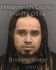 GIOVANNI PEREZ Arrest Mugshot Hillsborough 11/06/2015