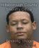 GREGORY MATTHEWS Arrest Mugshot Hillsborough 12/29/2013