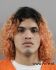 Gabriel Ruiz Arrest Mugshot Polk 6/4/2025