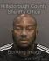 HENRY JOHNSON Arrest Mugshot Hillsborough 05/15/2016