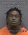 JAHFAHREE EDWARDS Arrest Mugshot Hillsborough 04/15/2025