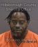 JAMES LEE Arrest Mugshot Hillsborough 11/17/2023