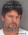 JAMES LONG Arrest Mugshot Pinellas 11/15/2013