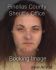 JASMINE KRAMER Arrest Mugshot Pinellas 11/17/2013