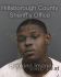 JEROME REED Arrest Mugshot Hillsborough 07/14/2020