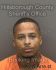 JIMMY HAMILTON Arrest Mugshot Hillsborough 03/29/2014