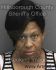 JOANNE BILLUPS Arrest Mugshot Hillsborough 10/02/2015