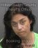 JOELLEN BUTCHER Arrest Mugshot Hillsborough 04/22/2014