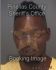 JOHN SIMMONS Arrest Mugshot Pinellas 09/14/2013