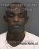 JOHNNIE EVERETT Arrest Mugshot Hillsborough 07/24/2016