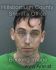 JOSHUA NICHOLLS Arrest Mugshot Hillsborough 03/18/2015